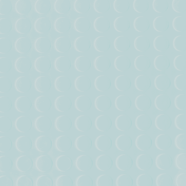 Anti-Skid Flooring AS-13