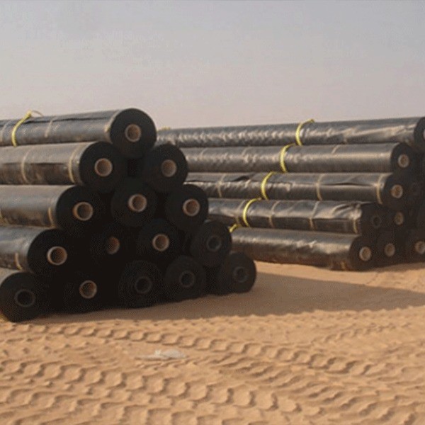 HDPE Geomembrane-High Density Polyethylene Waterproof Sheet